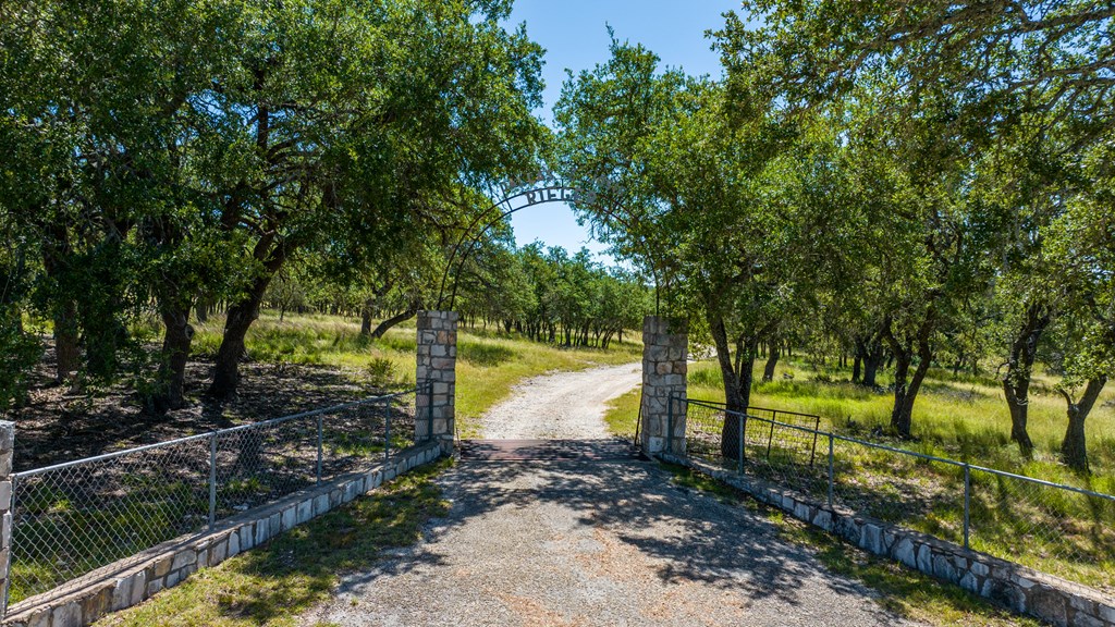 315 Rieger Road Harper, TX 78631 - Photo 24 of 31 a view of a yard with a tree