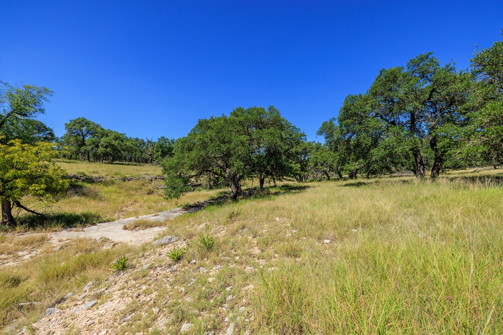 315 Rieger Road Harper, TX 78631 - Photo 29 of 31 a view of swimming pool from a yard