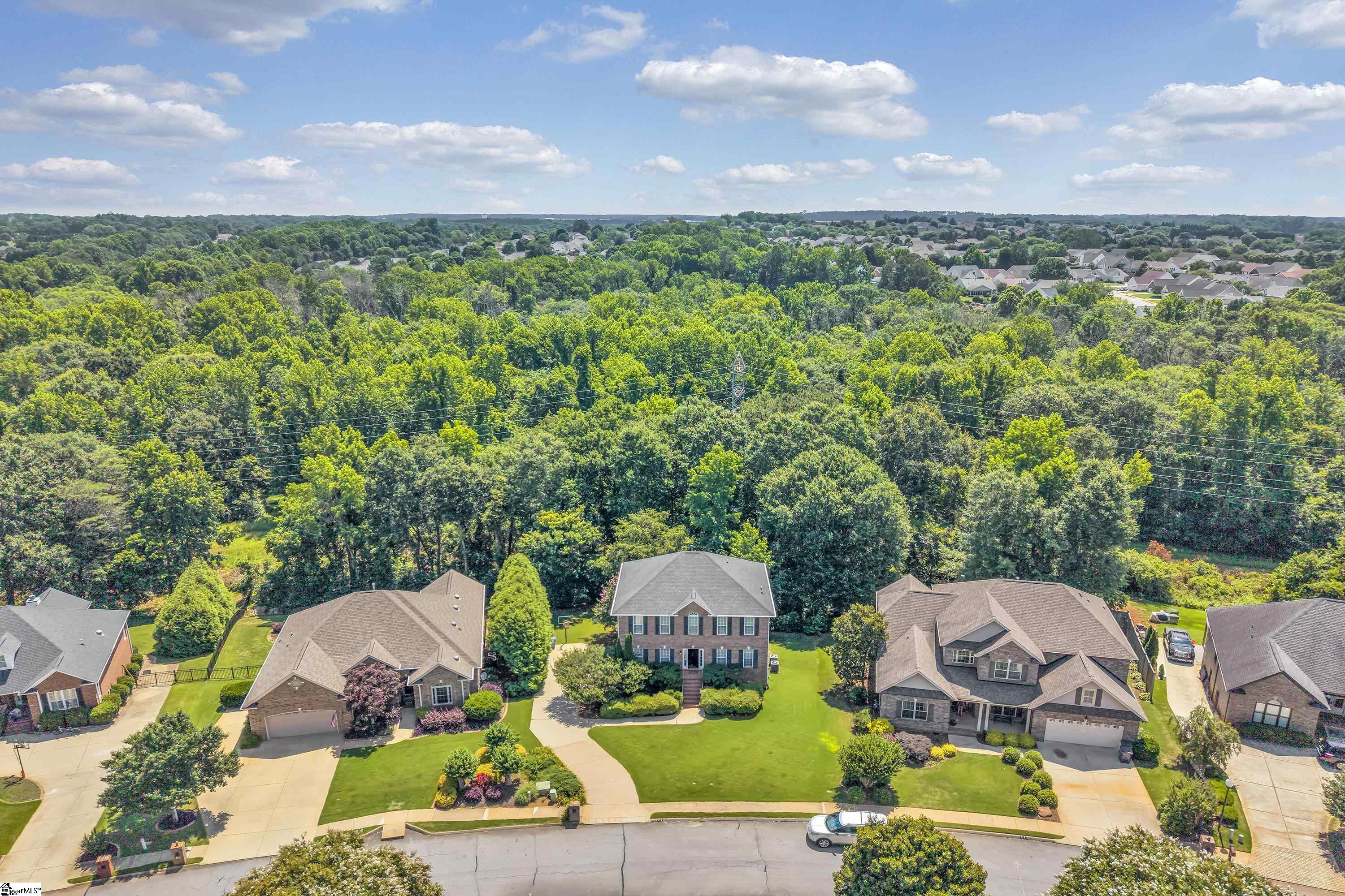 316 New Tarleton Way Greer, SC 29650 - Photo 31 of 32