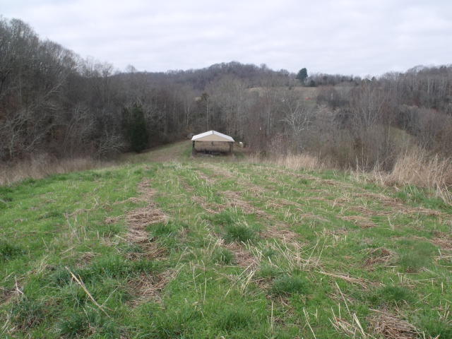 470 Craighead Road Madisonville, TN 37354 - Photo 1 of 38 DSCF4660