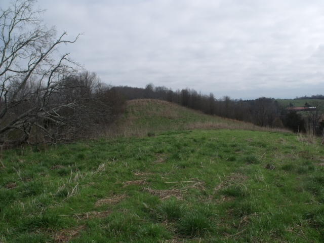 470 Craighead Road Madisonville, TN 37354 - Photo 2 of 38 DSCF4692