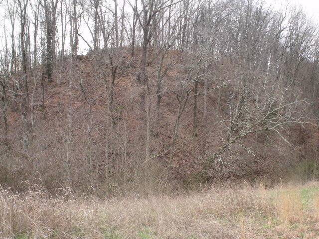 470 Craighead Road Madisonville, TN 37354 - Photo 13 of 38 DSCF4659