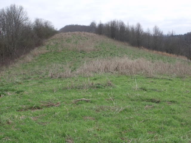470 Craighead Road Madisonville, TN 37354 - Photo 17 of 38 DSCF4665