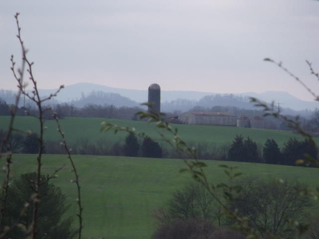 470 Craighead Road Madisonville, TN 37354 - Photo 18 of 38 DSCF4667