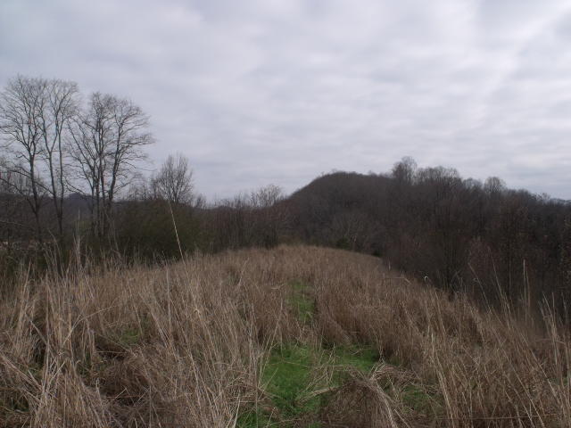 470 Craighead Road Madisonville, TN 37354 - Photo 19 of 38 DSCF4668