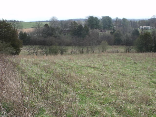 470 Craighead Road Madisonville, TN 37354 - Photo 20 of 38 DSCF4669