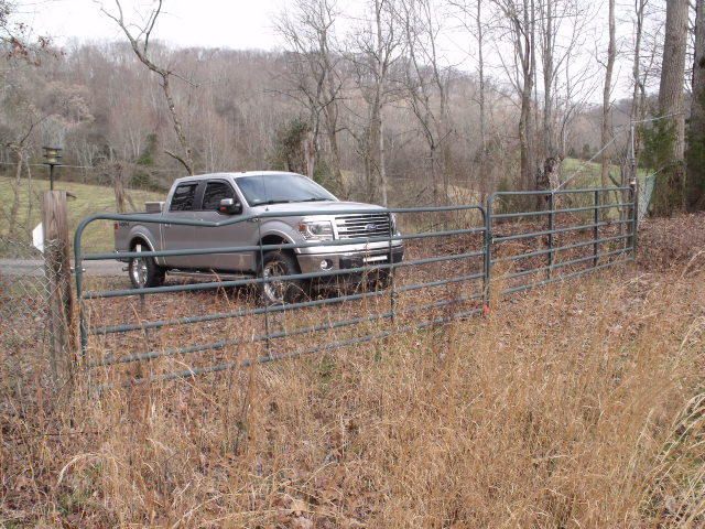 470 Craighead Road Madisonville, TN 37354 - Photo 3 of 38 DSCF4652