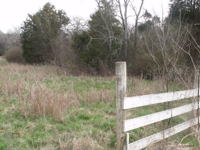 470 Craighead Road Madisonville, TN 37354 - Photo 24 of 38 DSCF4673