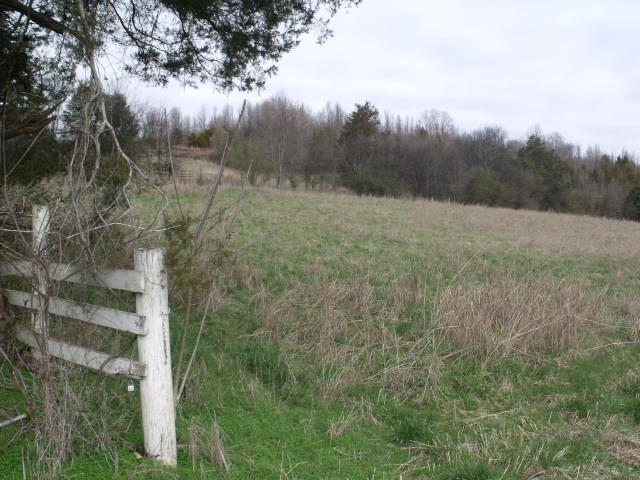 470 Craighead Road Madisonville, TN 37354 - Photo 25 of 38 DSCF4674