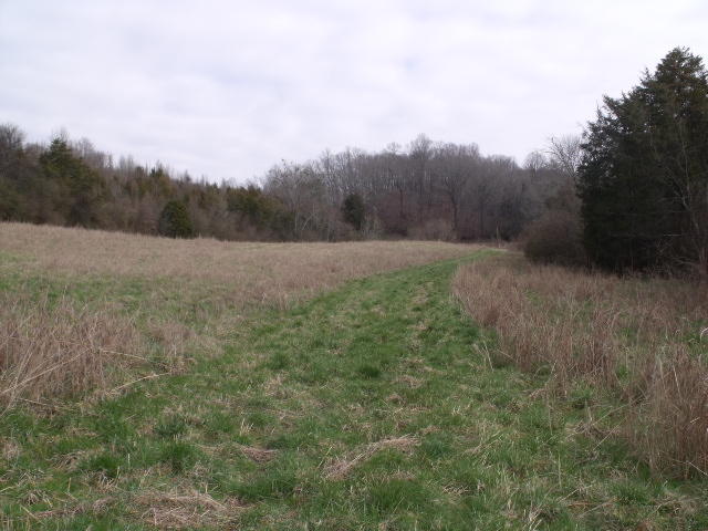 470 Craighead Road Madisonville, TN 37354 - Photo 26 of 38 DSCF4675