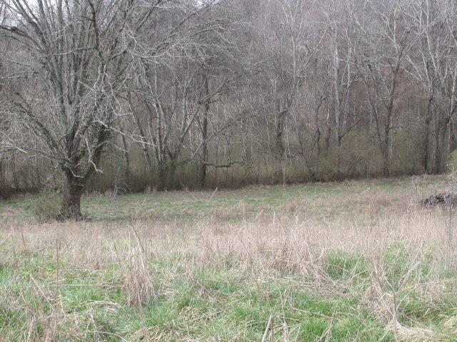 470 Craighead Road Madisonville, TN 37354 - Photo 35 of 38 DSCF4689