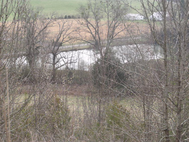 470 Craighead Road Madisonville, TN 37354 - Photo 6 of 38 DSCF4666