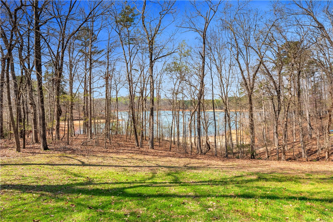 435 Cleveland Ferry Road Fair Play, SC 29643 - Photo 7 of 28