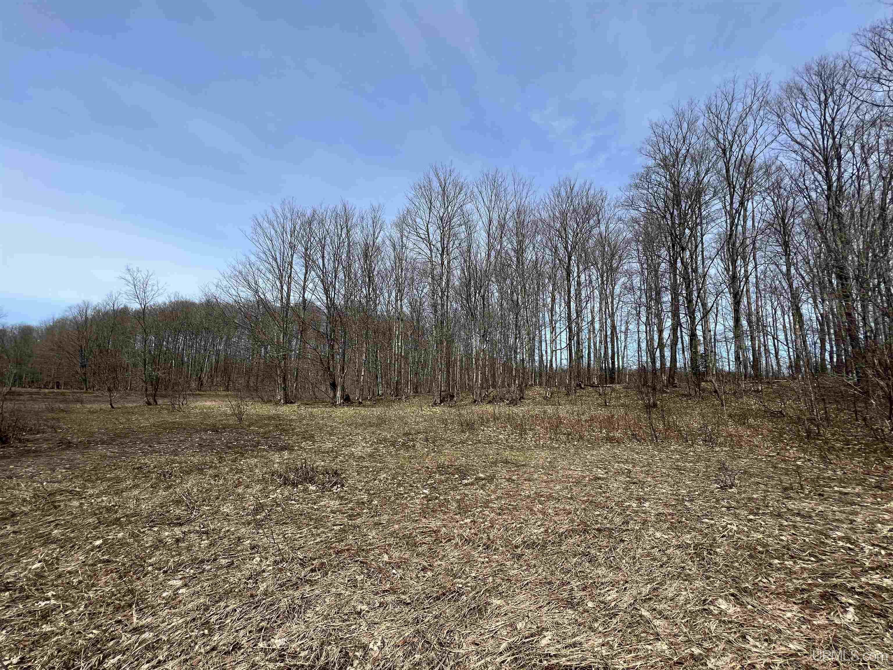 H58 St Shingleton Mi 49895 Shingleton, MI 49884 - Photo 20 of 21