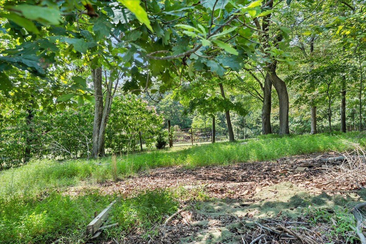 240 Lakeshore Terrace Road Hardy, VA 24101 - Photo 58 of 102 a view of backyard with green space