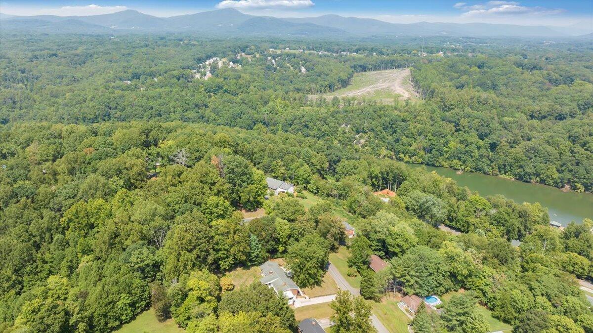 240 Lakeshore Terrace Road Hardy, VA 24101 - Photo 84 of 102 a view of a lush green forest with lush green forest and mountain view