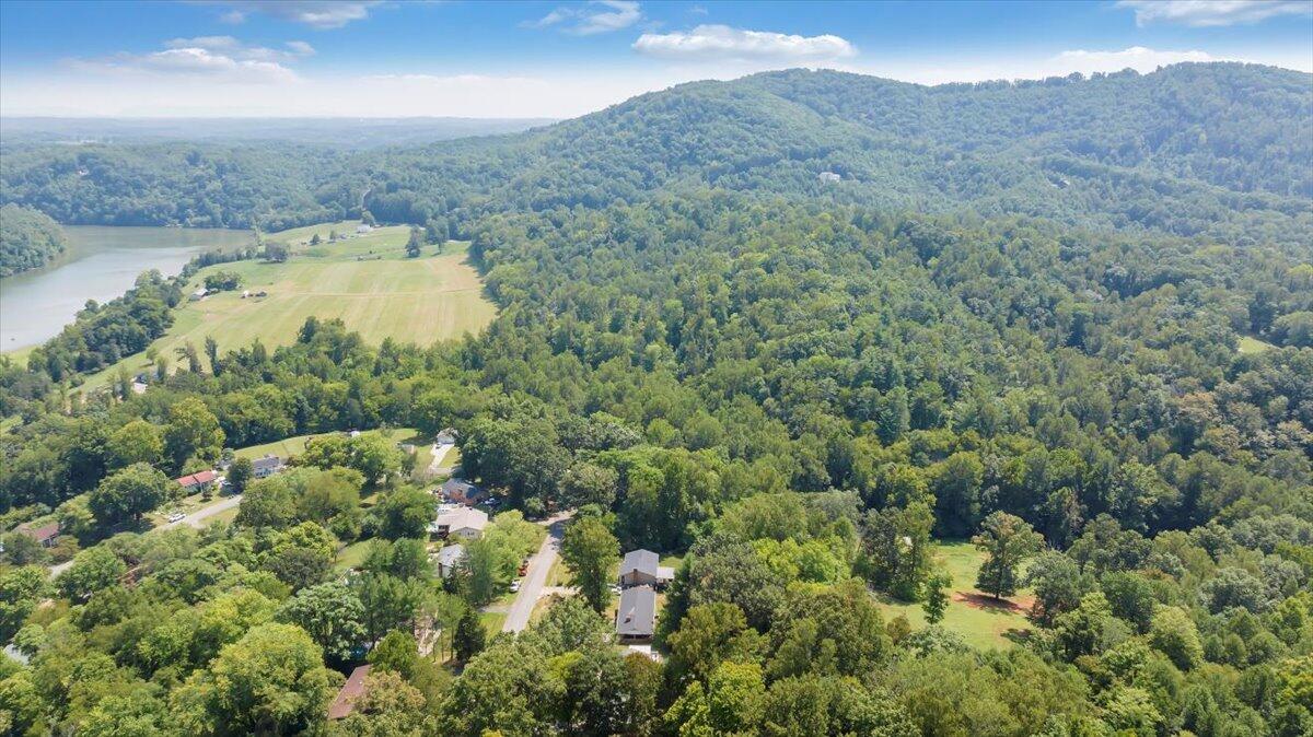 240 Lakeshore Terrace Road Hardy, VA 24101 - Photo 88 of 102 088-DJI_20240829135838_0035_D_MIB