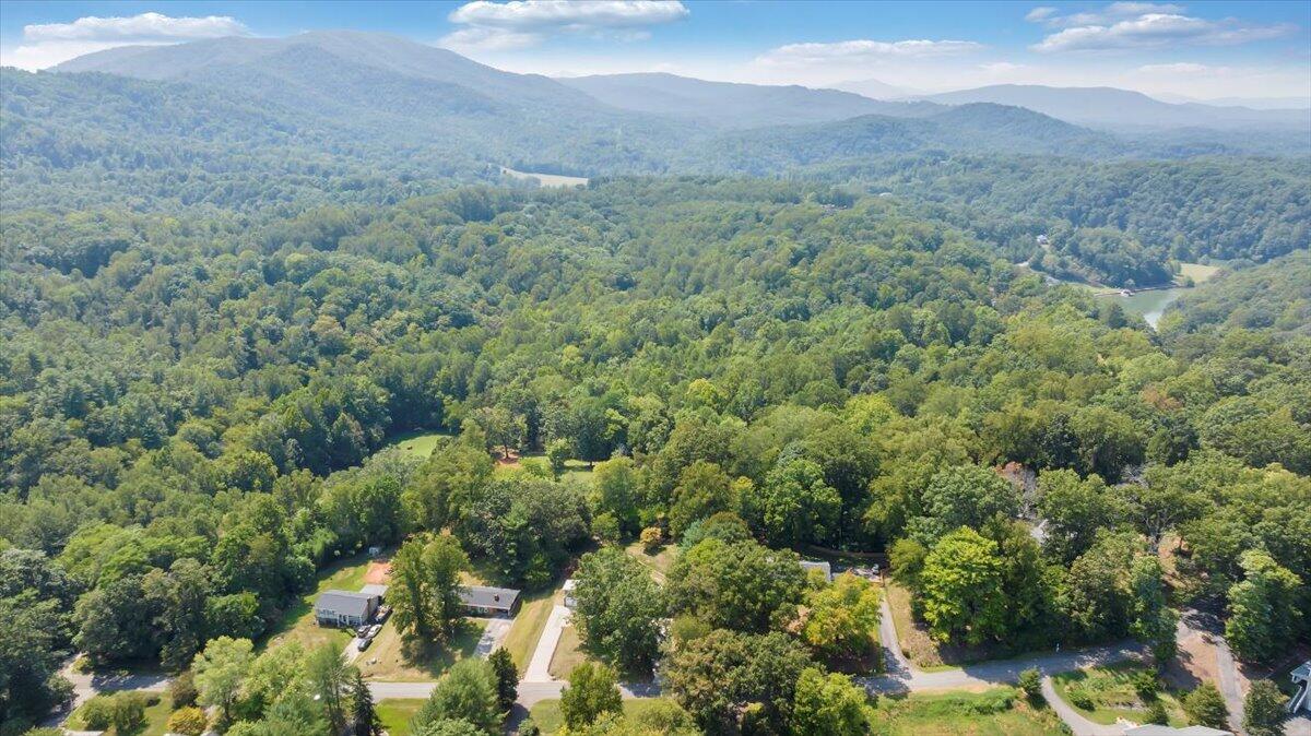 240 Lakeshore Terrace Road Hardy, VA 24101 - Photo 90 of 102 090-DJI_20240829135911_0037_D_MIB