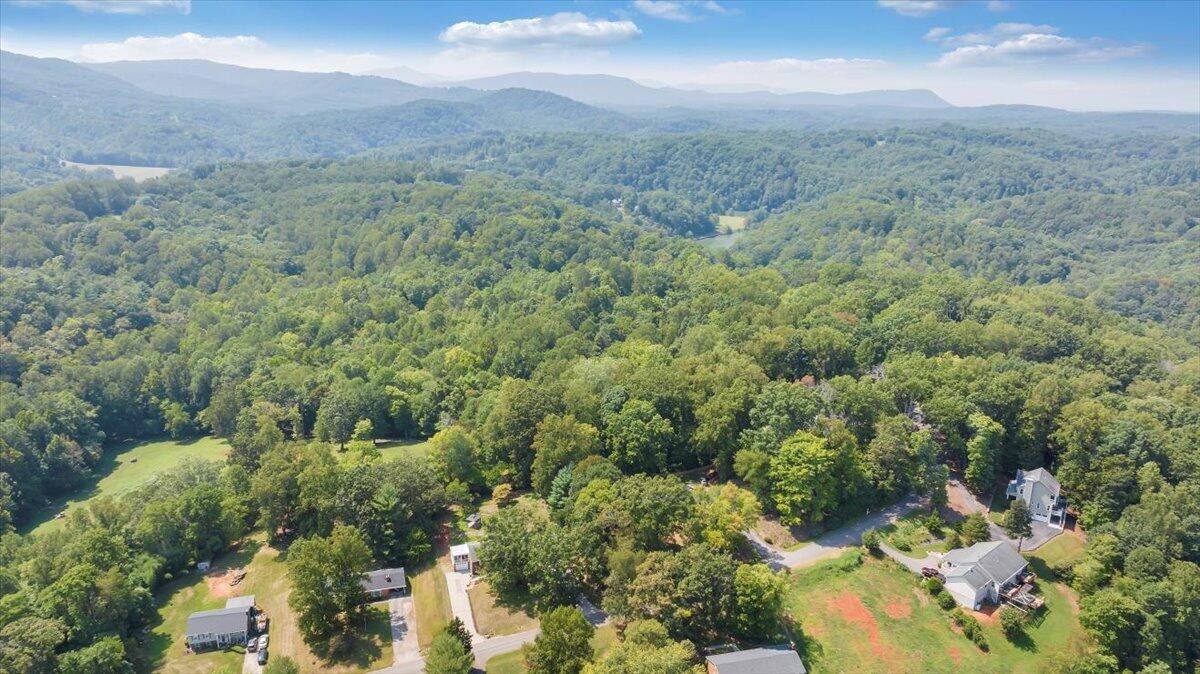 240 Lakeshore Terrace Road Hardy, VA 24101 - Photo 91 of 102 091-DJI_20240829135922_0038_D_MIB