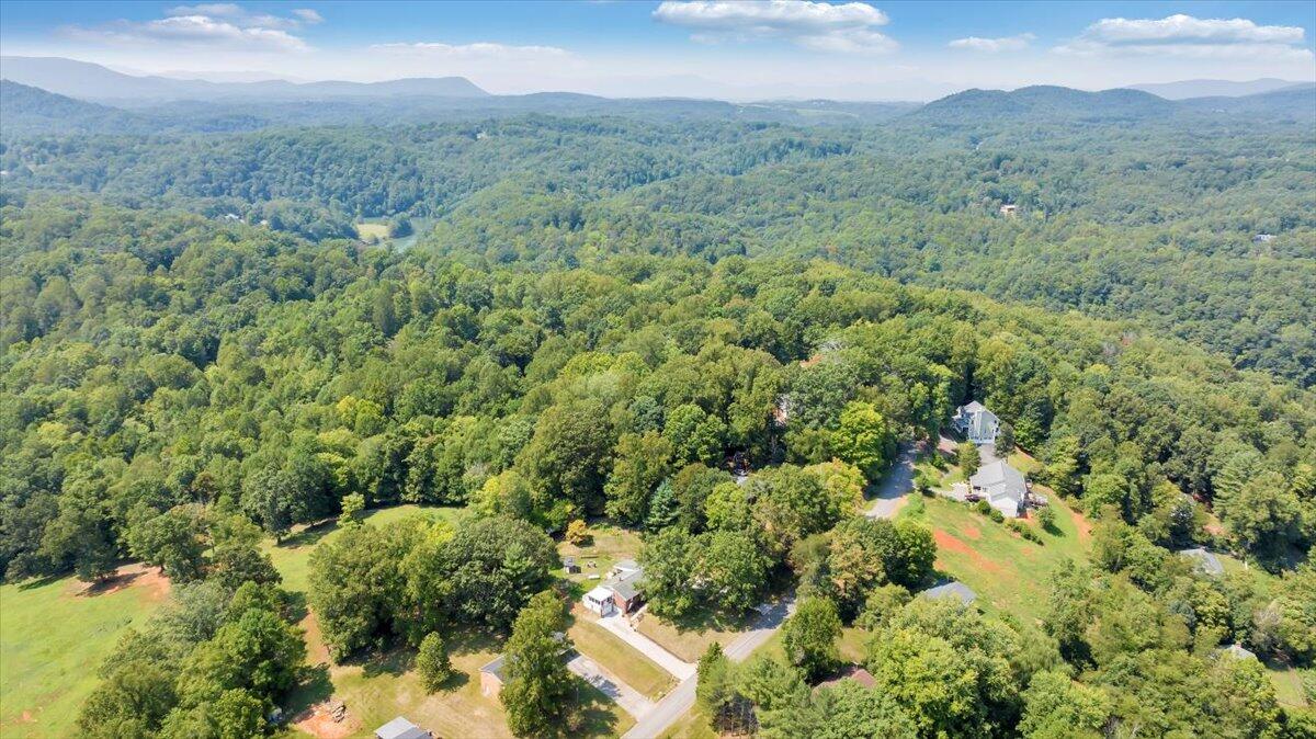 240 Lakeshore Terrace Road Hardy, VA 24101 - Photo 92 of 102 a view of a mountain in the distance in a field