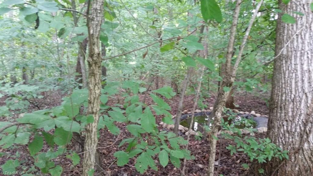 6706 Foushee Road Ramseur, NC 27316 - Photo 22 of 25