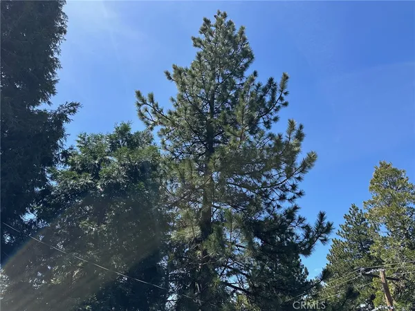 $459,000 | 2551 Rim Of The World Drive, Running Springs, CA 92382