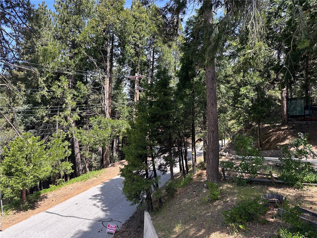 2551 Rim Of The World Drive Running Springs, CA 92382 - Photo 42 of 43 Treelined Street.