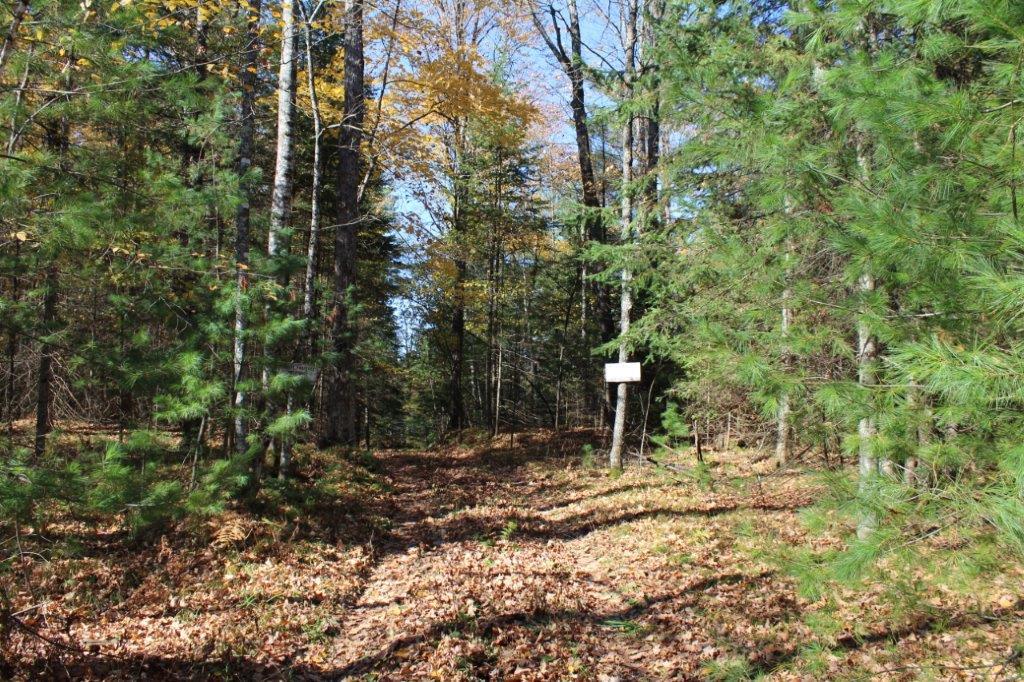 2050 South Anvil Lake Road Eagle River, WI 54521 - Photo 13 of 37 Gallery Image 13