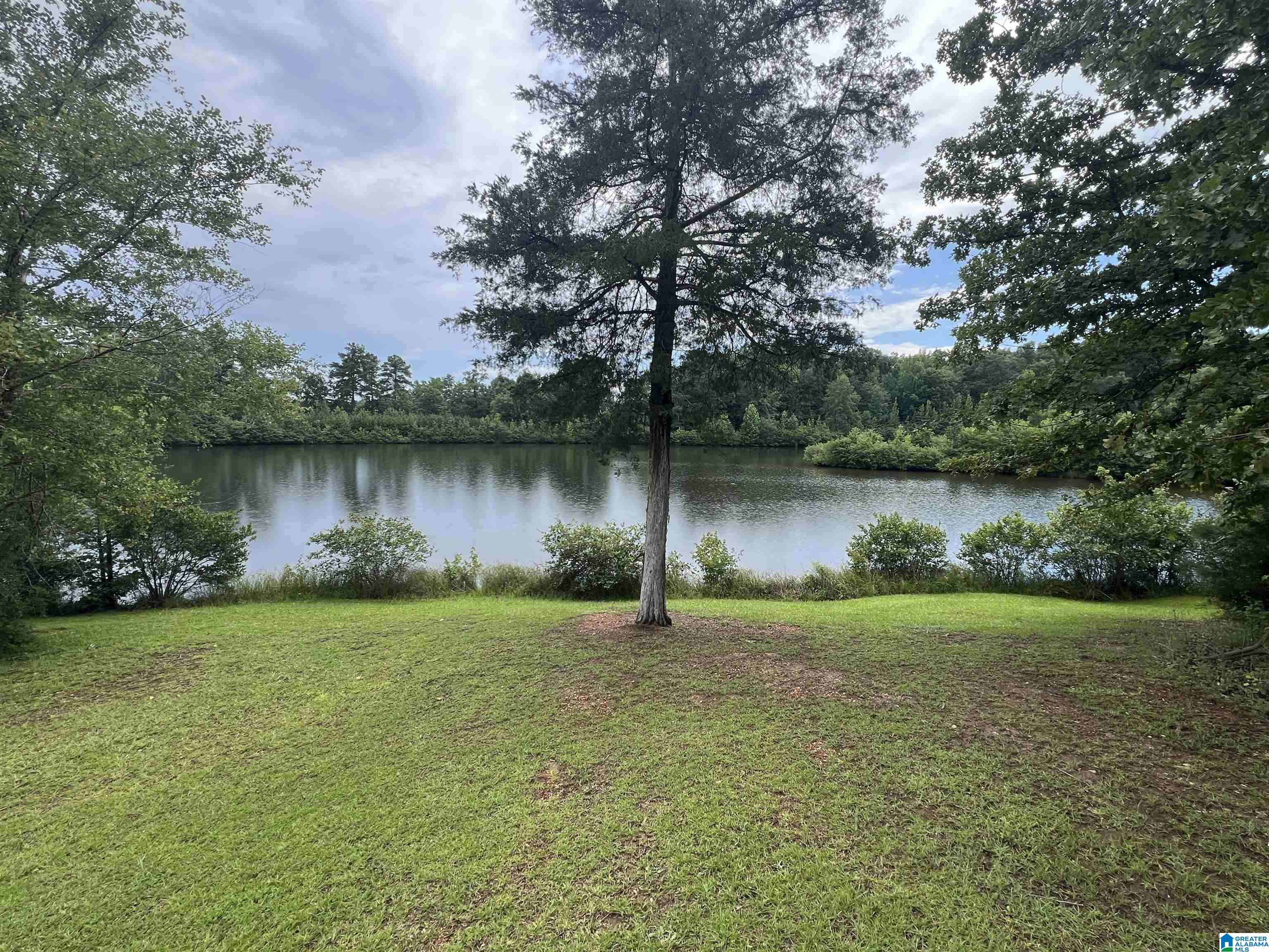 241 County Road 11 Hamilton, AL 35570 - Photo 16 of 41 Gallery Image 16