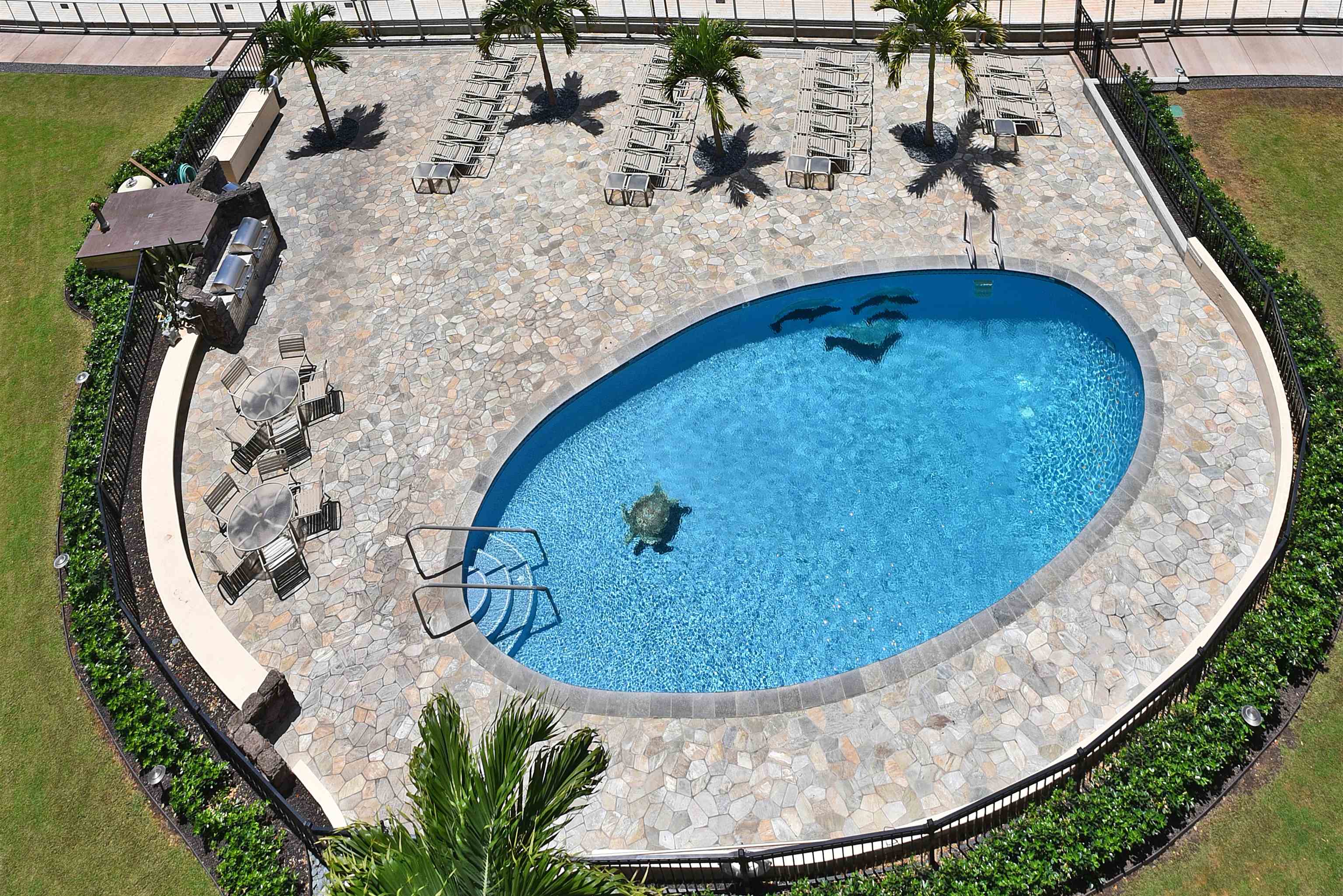 4401 Lower Honoapiilani Road, Unit B801 Lahaina, HI 96761 - Photo 23 of 32
