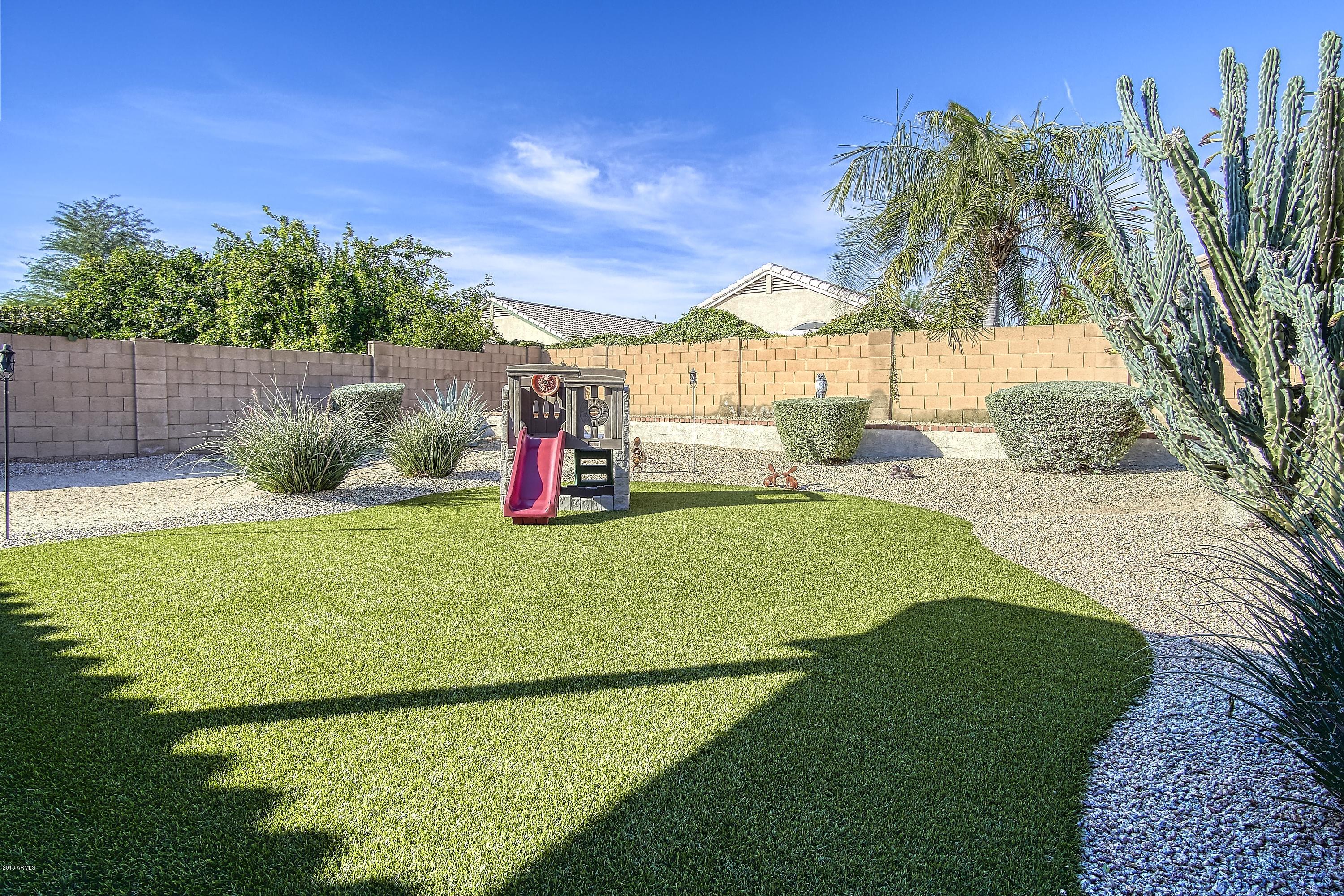 Backyard Paradise