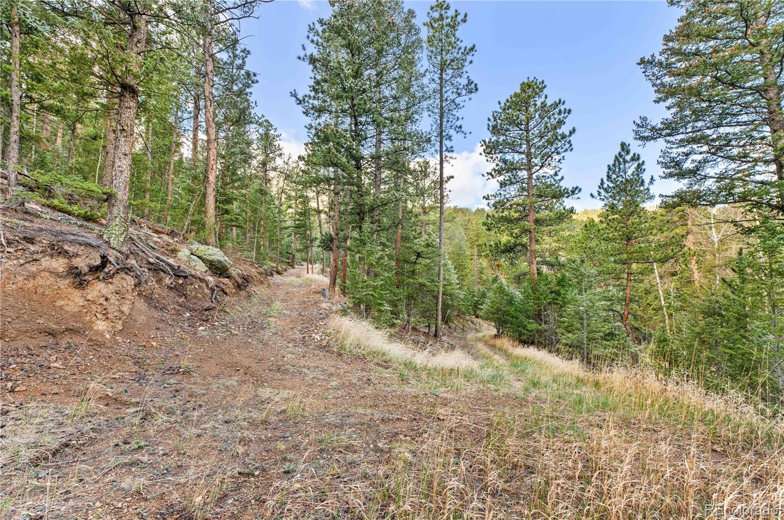 8477 Drew Hill Road Golden, CO 80403 - Photo 37 of 50 Gallery Image 37