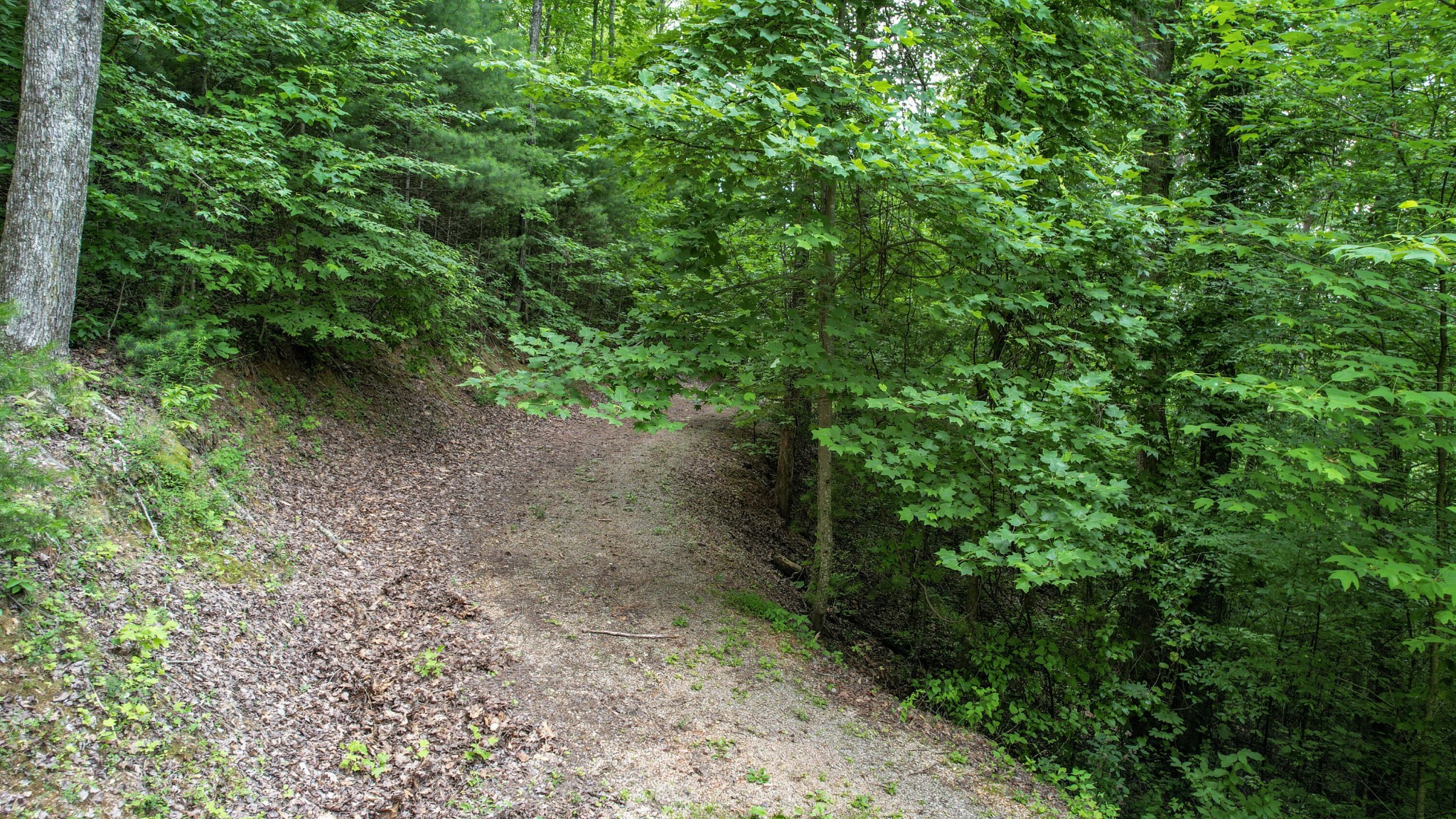 201 Campbell Branch Road Reliance, TN 37369 - Photo 86 of 99