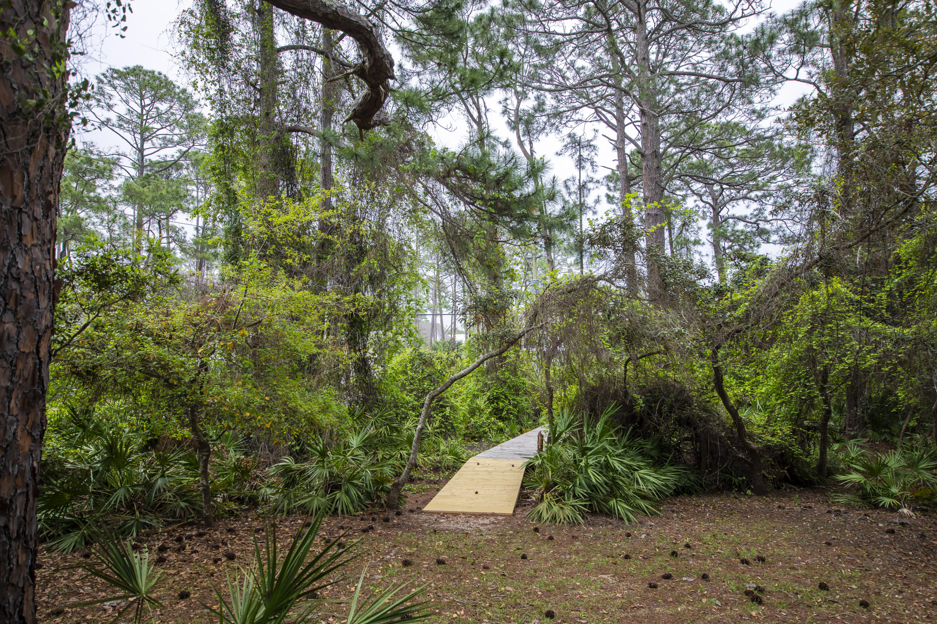 51 Loon Lake Drive Santa Rosa Beach, FL 32459 - Photo 25 of 49 a view of an outdoor space