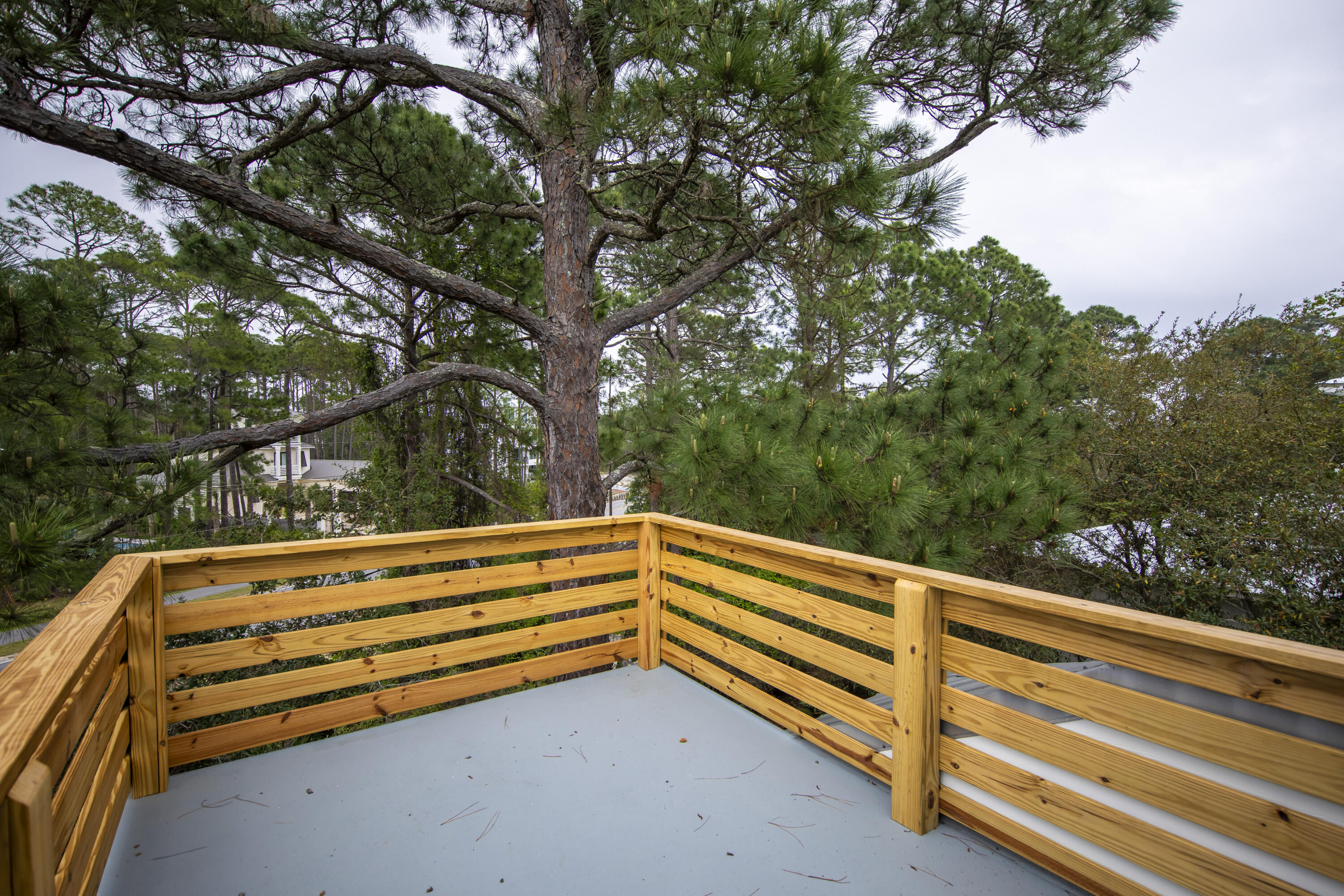 51 Loon Lake Drive Santa Rosa Beach, FL 32459 - Photo 40 of 49 a view of outdoor space with deck and tree
