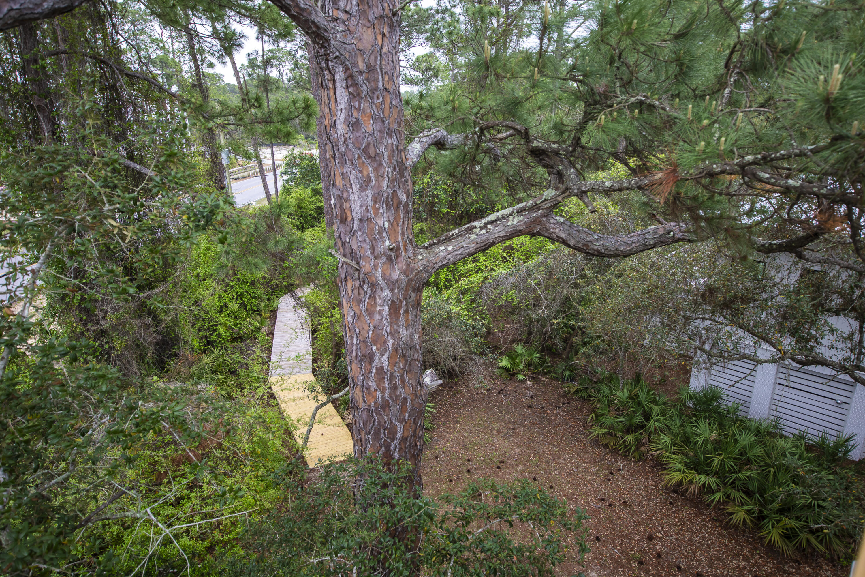 51 Loon Lake Drive Santa Rosa Beach, FL 32459 - Photo 41 of 49 a backyard of a house with lots of green space