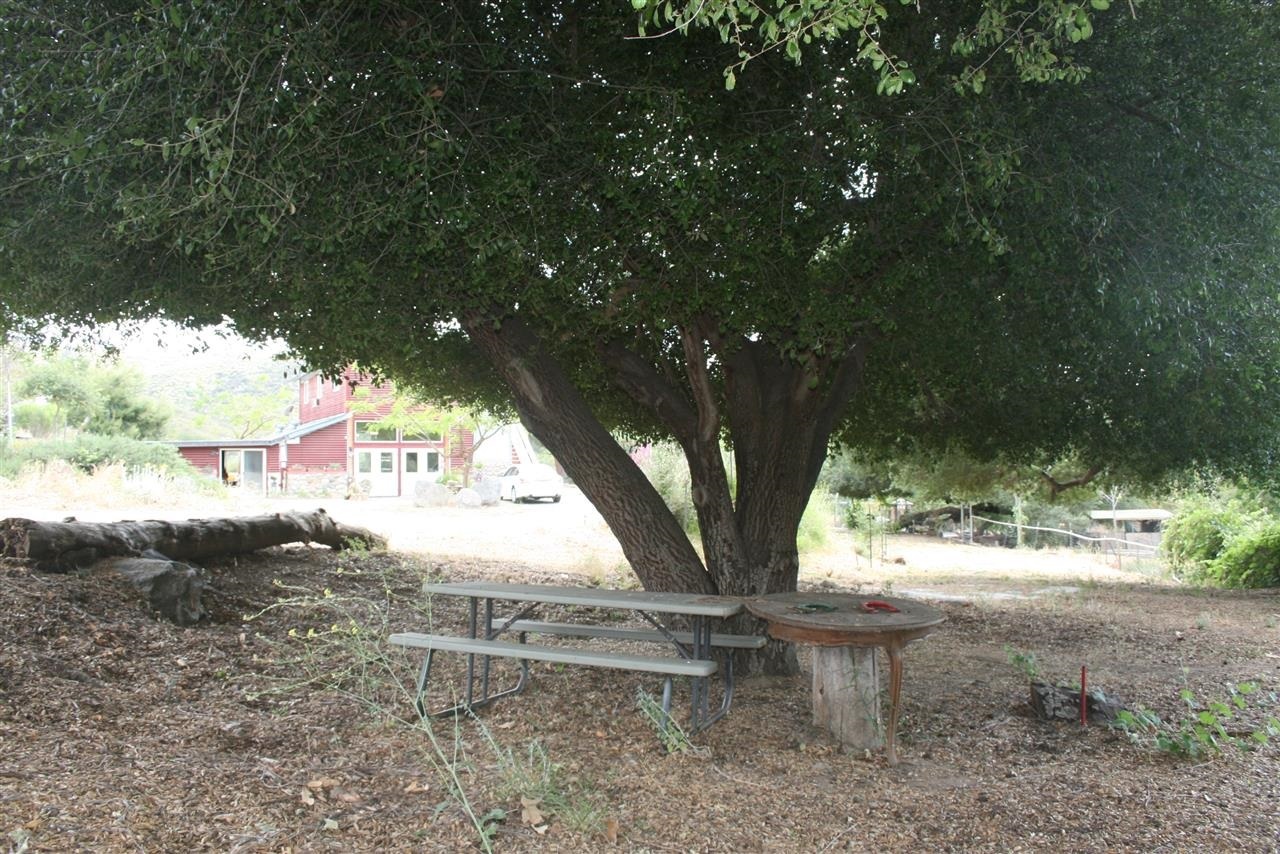 1646 Peutz Valley Road Alpine, CA 91901 - Photo 9 of 13