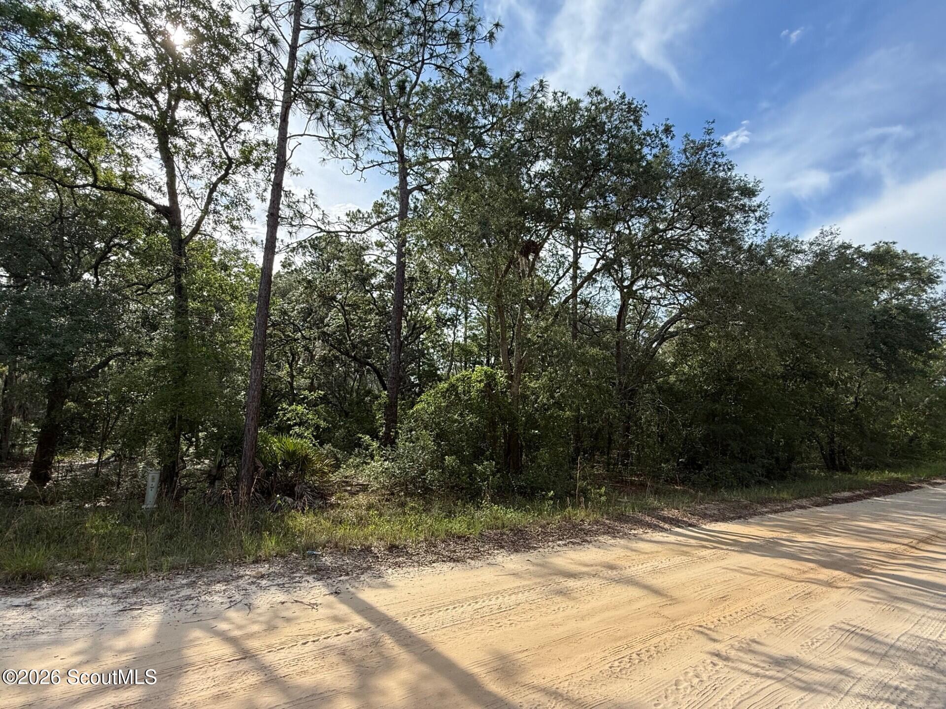 1605 Stafford Road Waynesville, GA 31566 - Photo 5 of 6 c561879b-e60b-454f-8cb7-0736335a2fec