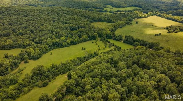 $595,000 | 2164 Wayne 220b, Silva, MO 63964