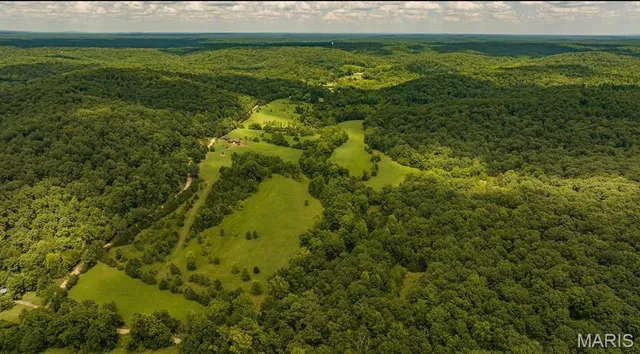 $595,000 | 2164 Wayne 220b, Silva, MO 63964