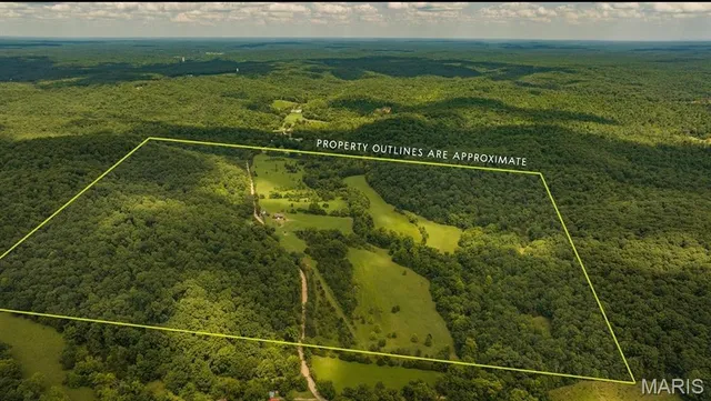 $595,000 | 2164 Wayne 220b, Silva, MO 63964