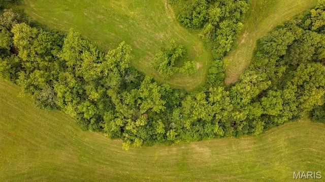 $595,000 | 2164 Wayne 220b, Silva, MO 63964