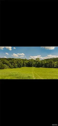 $595,000 | 2164 Wayne 220b, Silva, MO 63964