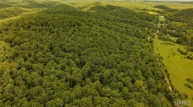 $595,000 | 2164 Wayne 220b, Silva, MO 63964