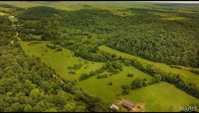 $595,000 | 2164 Wayne 220b, Silva, MO 63964