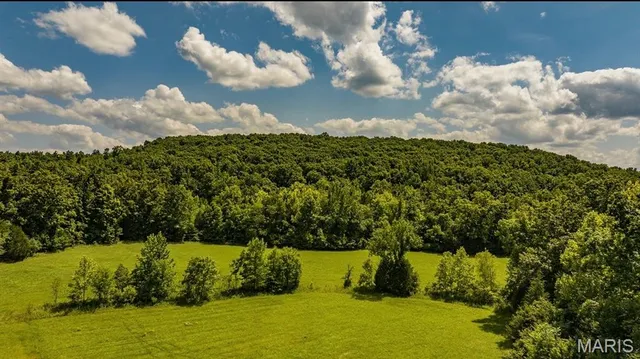 $595,000 | 2164 Wayne 220b, Silva, MO 63964