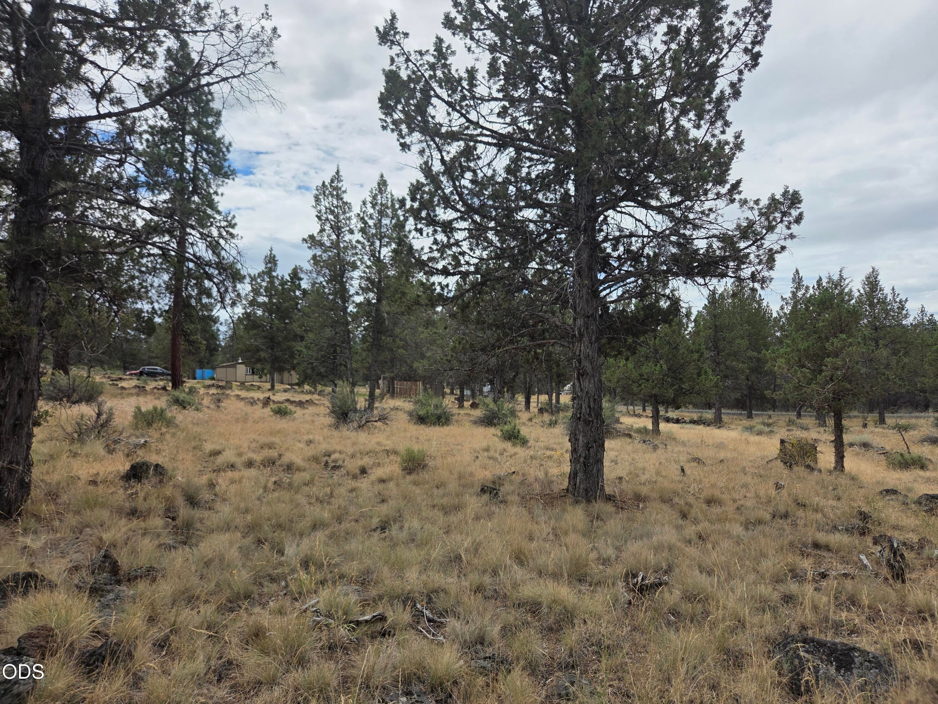 8314 Bly Mountain Cutoff Road Bonanza, OR 97623 - Photo 16 of 29 Gallery Image 16