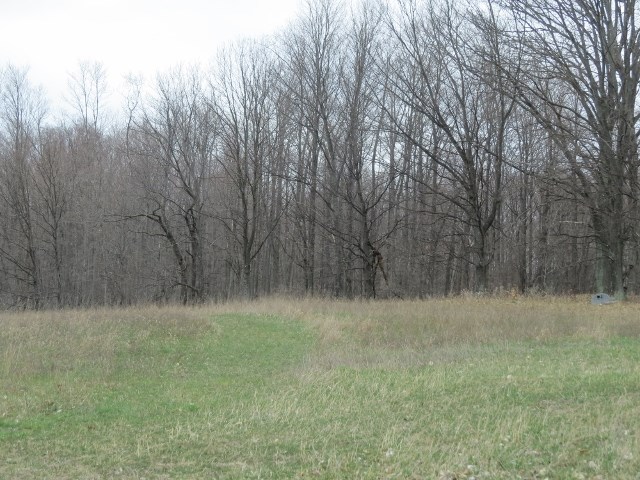 7113 Cottage Road Bellaire, MI 49615 - Photo 25 of 27 1798702-24.JPG