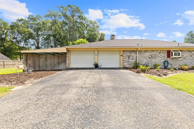 a view of a backyard with a large tree