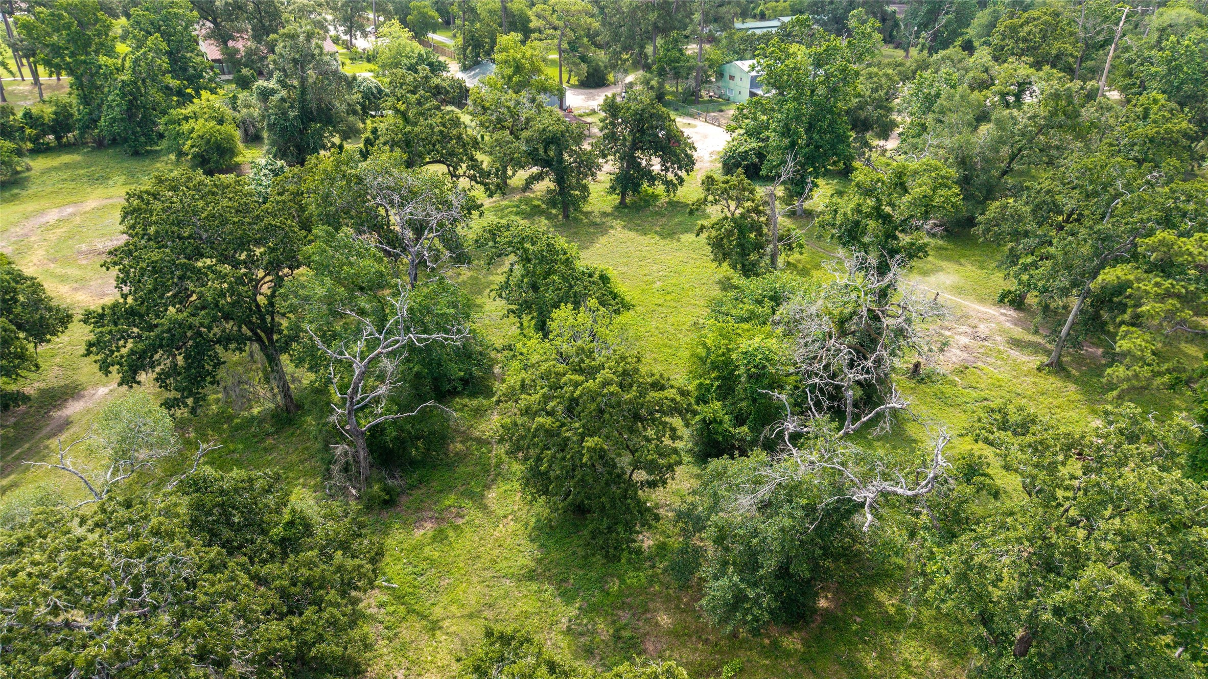 12625 Huffmeister Road Cypress, TX 77429 - Photo 22 of 35 a view of a garden